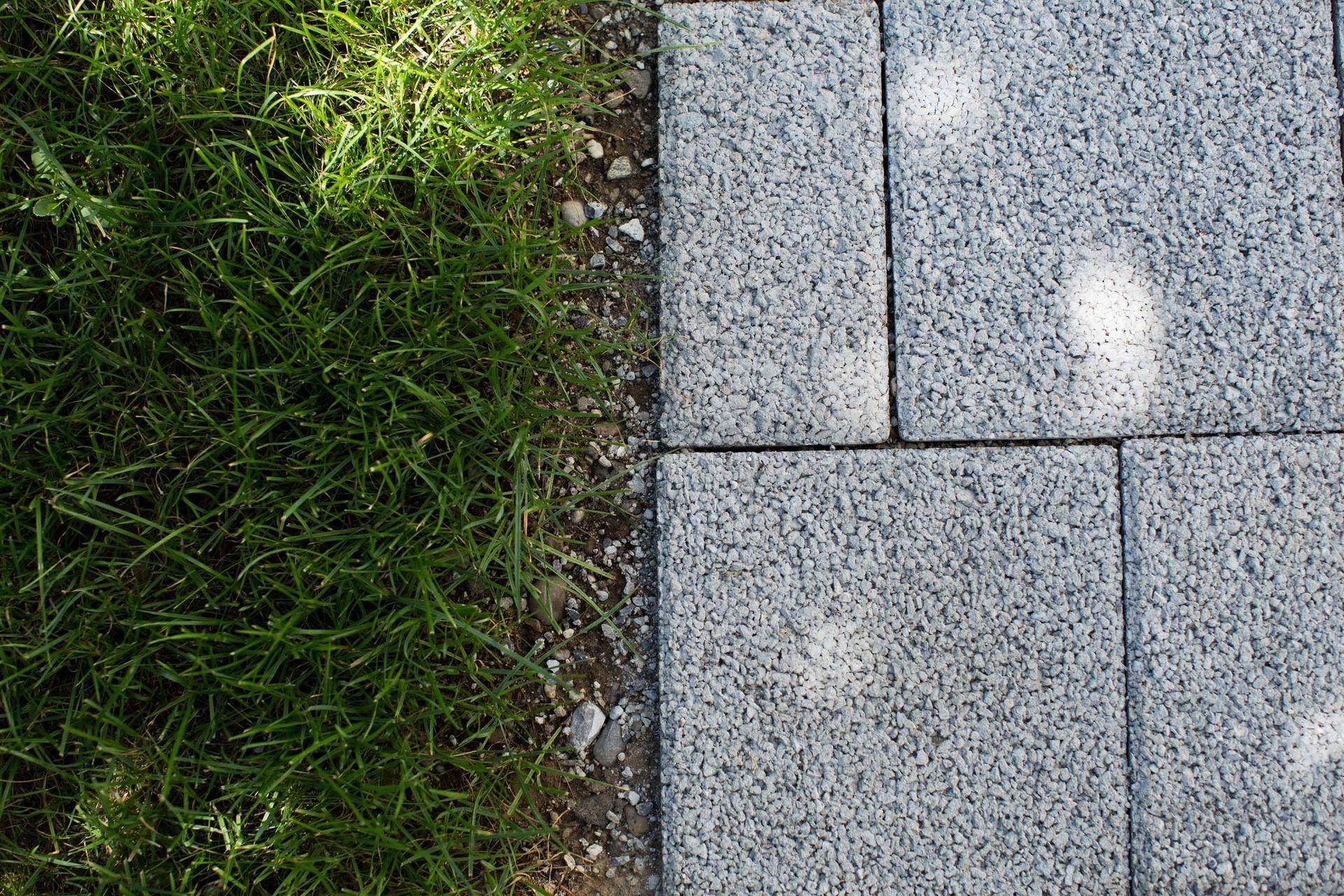 Rasen6 - Schädeli Gartenbau