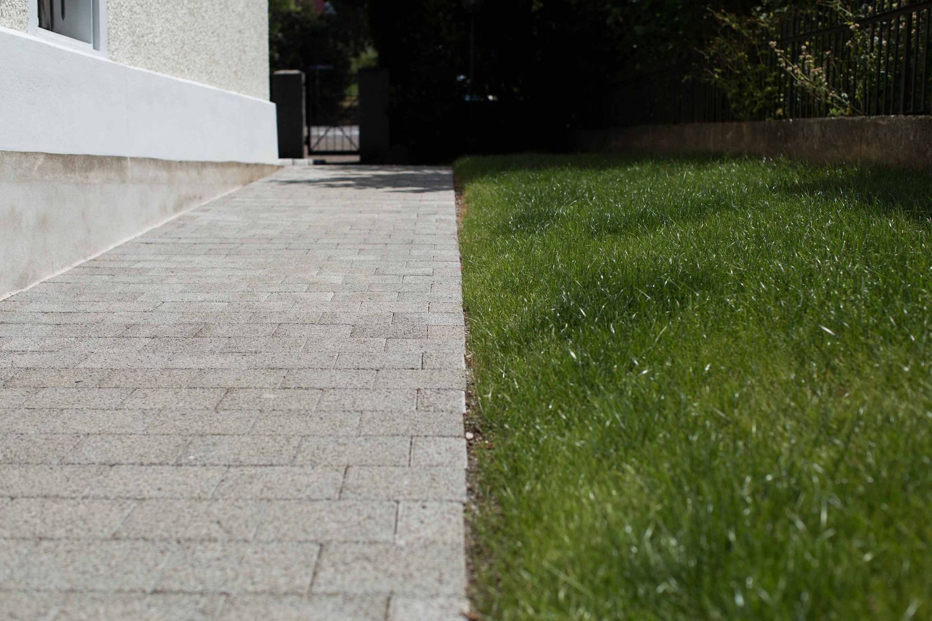 Rasen7 - Schädeli Gartenbau