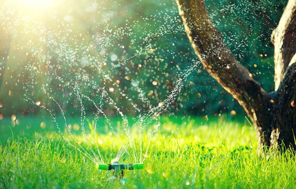 Jet d’eau arrosant une pelouse d’un vert éclatant dans un jardin ensoleillé, près du tronc d’un arbre