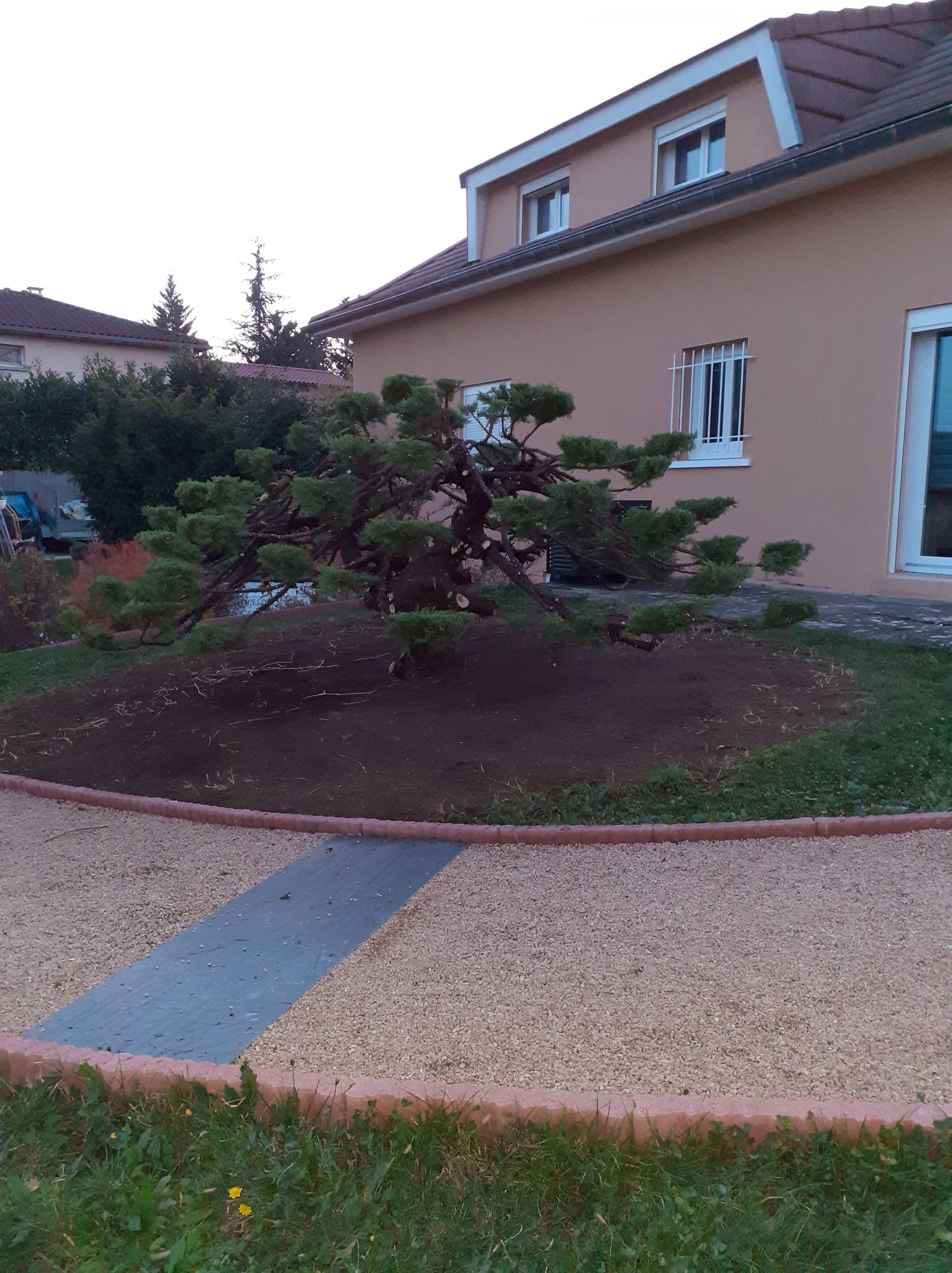 Jardin de devant avec un arbuste persistant taillé, une allée en gravier et une façade de maison beige.