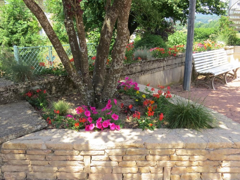 Massif fleuri autour d’un arbre, avec des fleurs roses et orange, près d’un muret de pierre et d’un banc dans un jardin