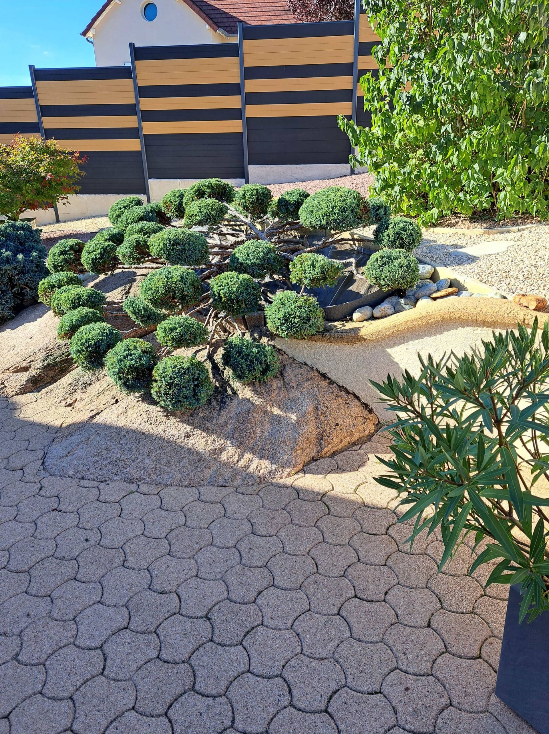 Jardin désertique avec des plantes grasses vert foncé, du gravier et une allée beige le long d’une clôture à rayures.