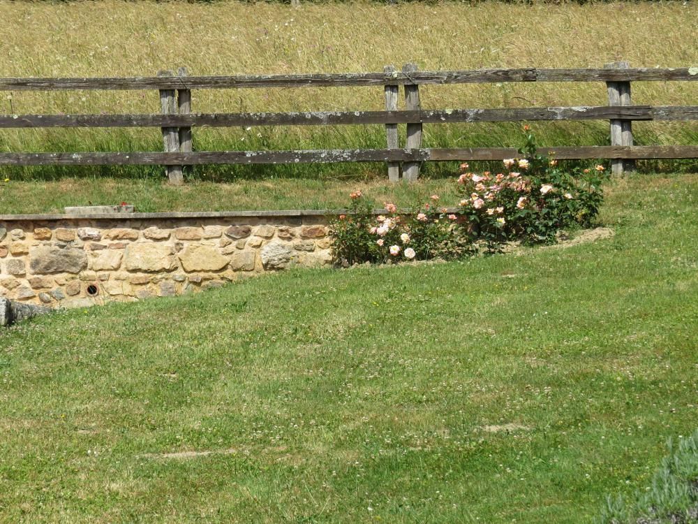 Colline verdoyante avec une clôture en bois, un mur de pierre et de petites fleurs roses.