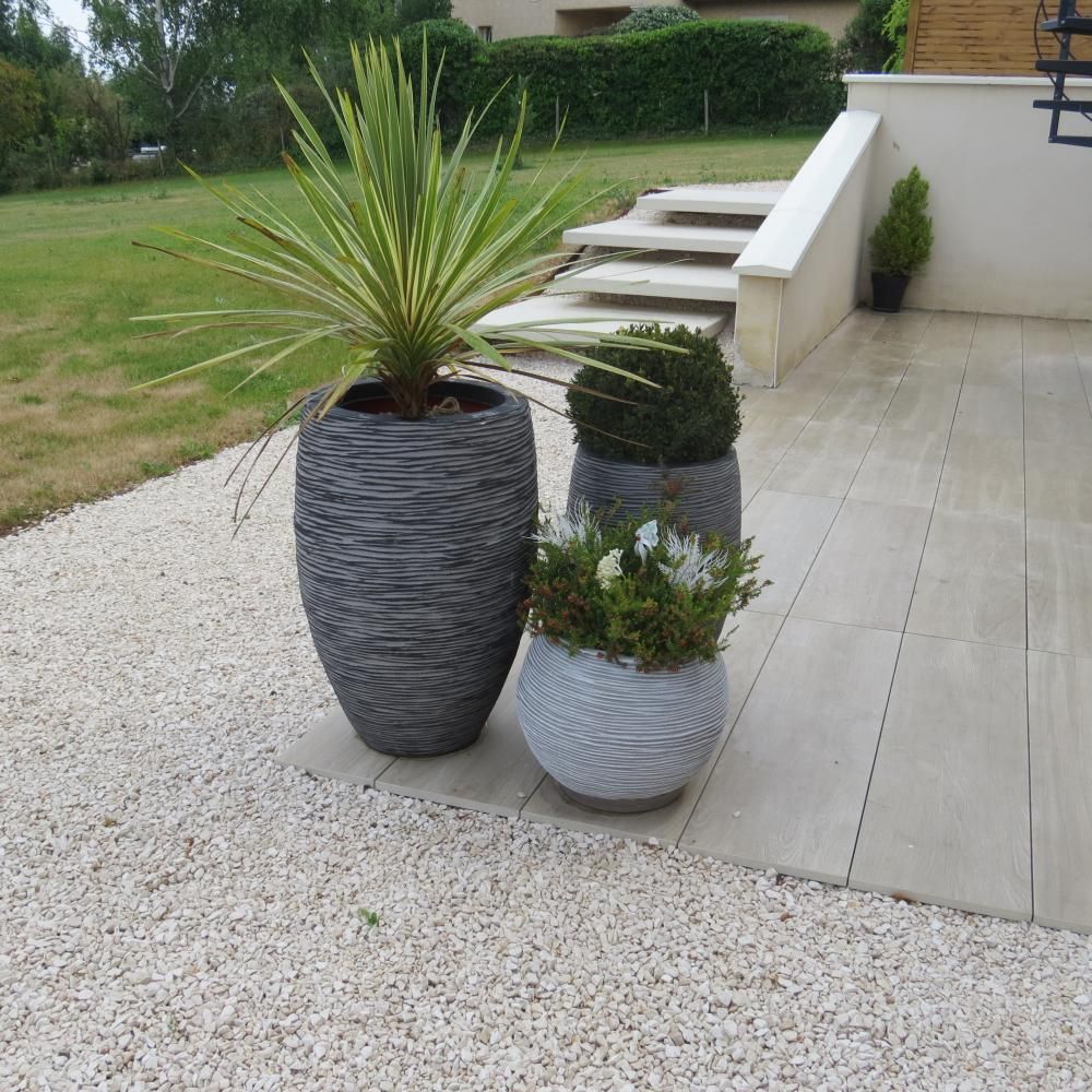 Deux plantes en pot sur une terrasse près de marches : une grande plante épineuse dans un vase sombre et un petit arbuste.