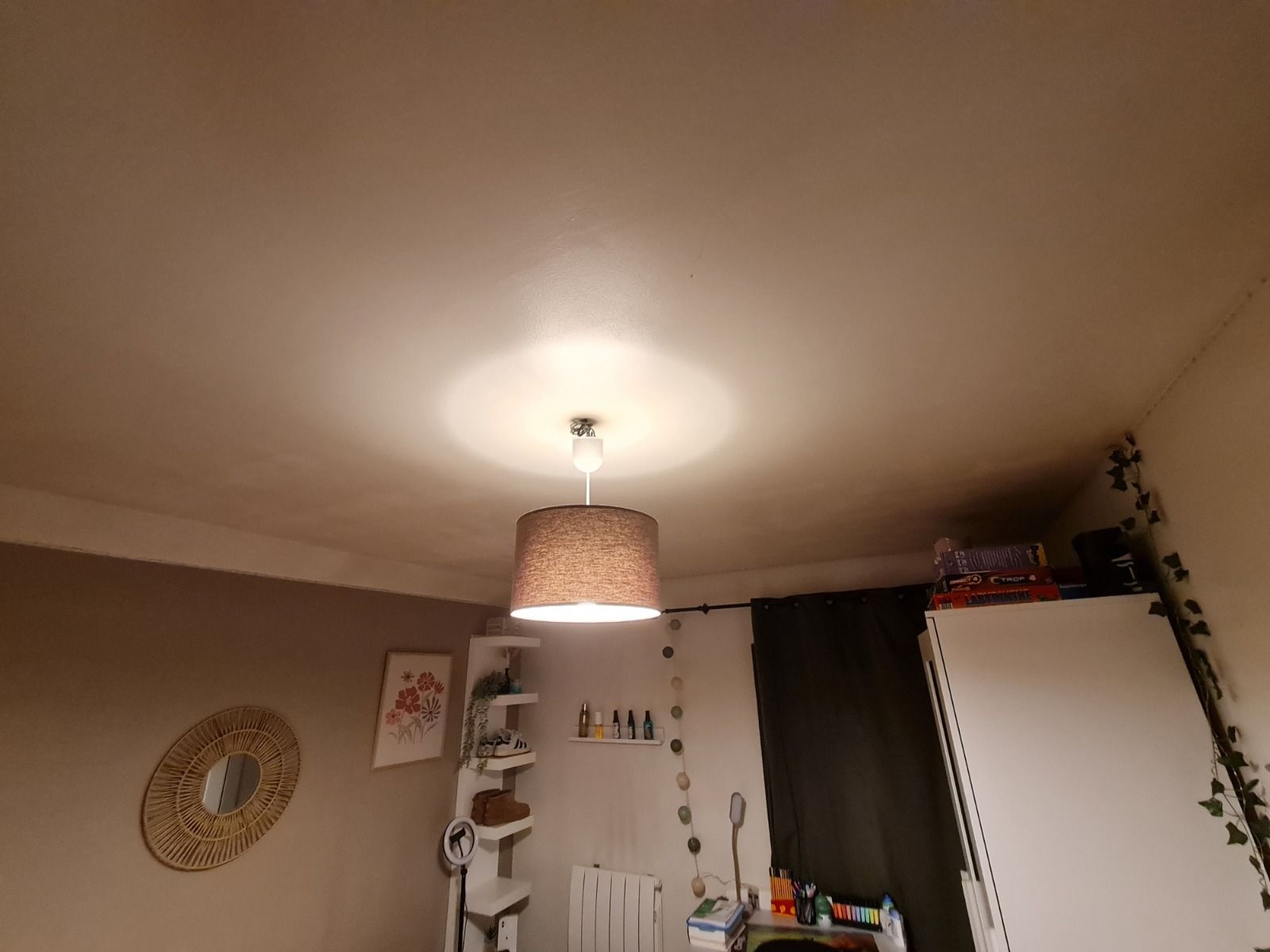 Un plafonnier à abat-jour brun éclaire une pièce. On aperçoit les murs, des étagères et une armoire.