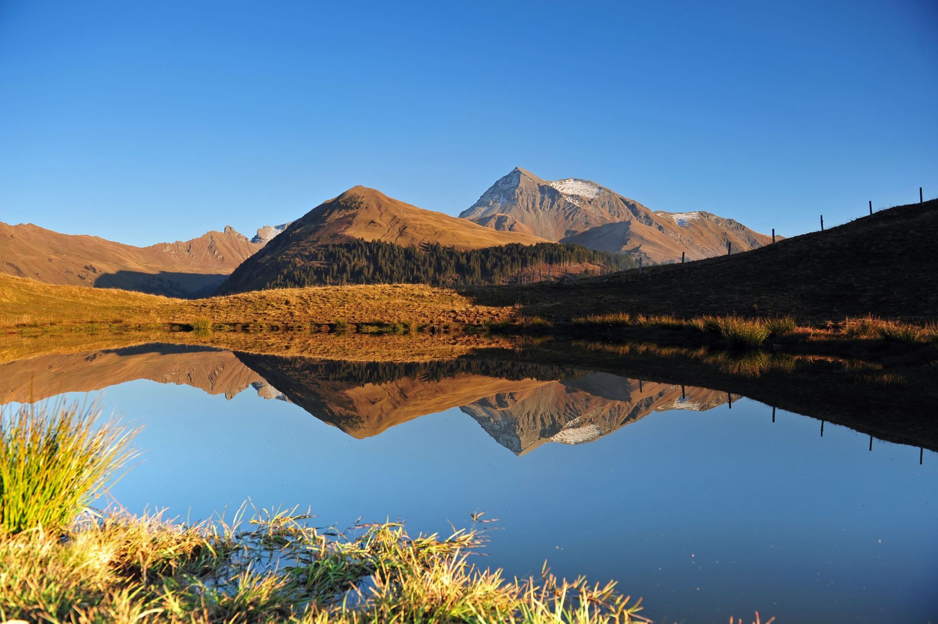 festzelte berner oberland - kilian + luzia wyssen - matten (st. stephan)