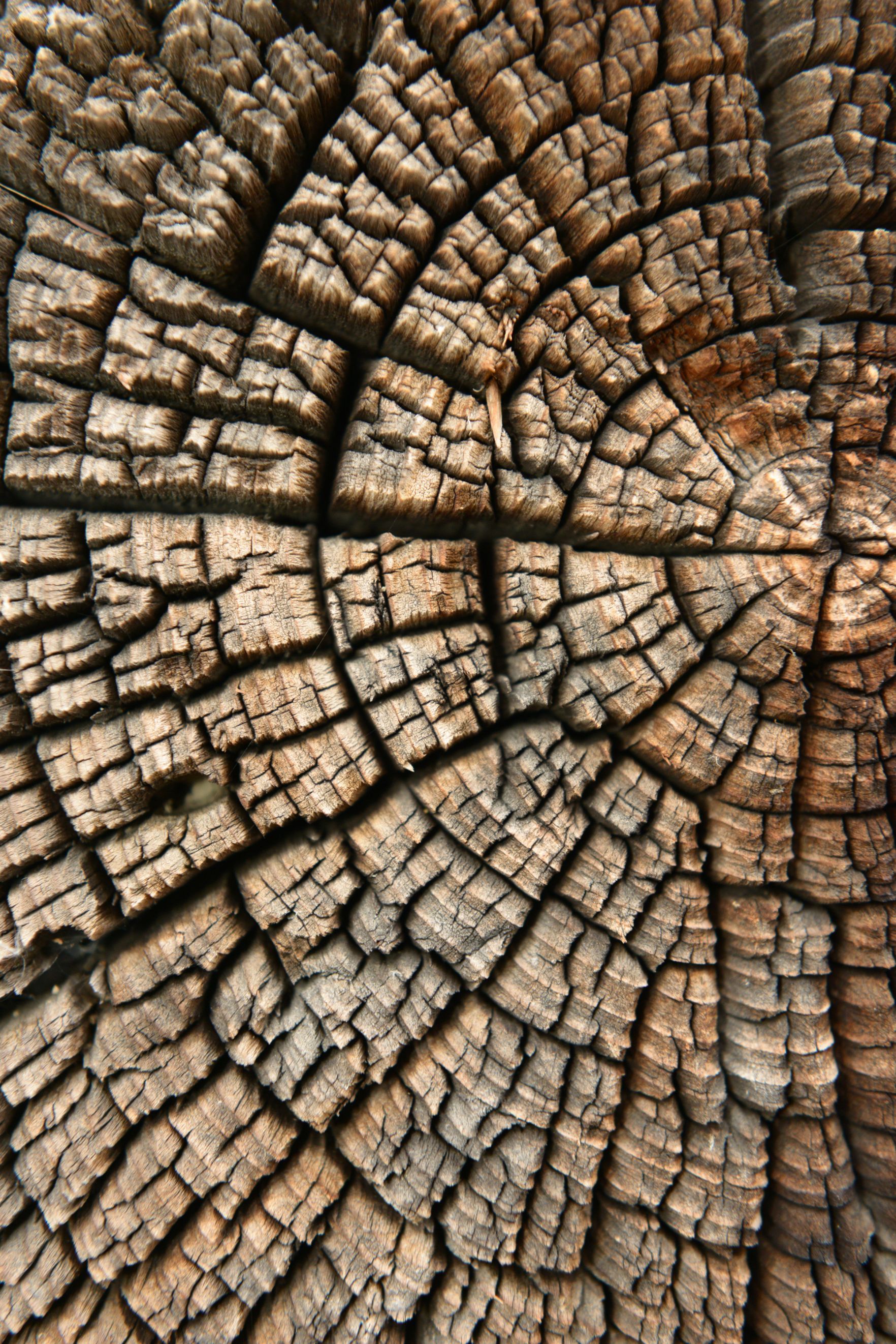 festzelte / transport / entsorgung - kilian + luzia wyssen - matten (st. stephan)
