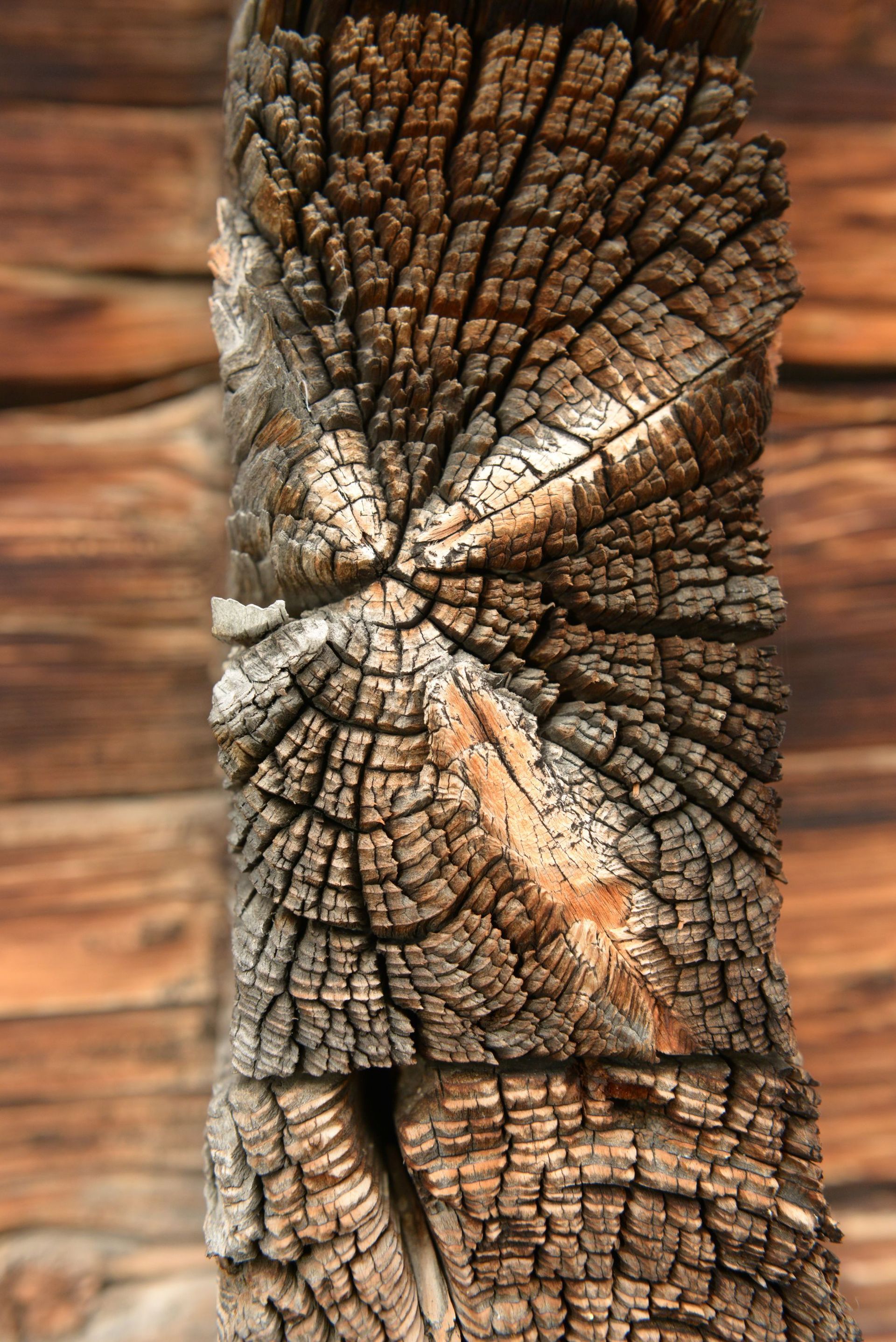 festzelte / transport / entsorgung - kilian + luzia wyssen - matten (st. stephan)