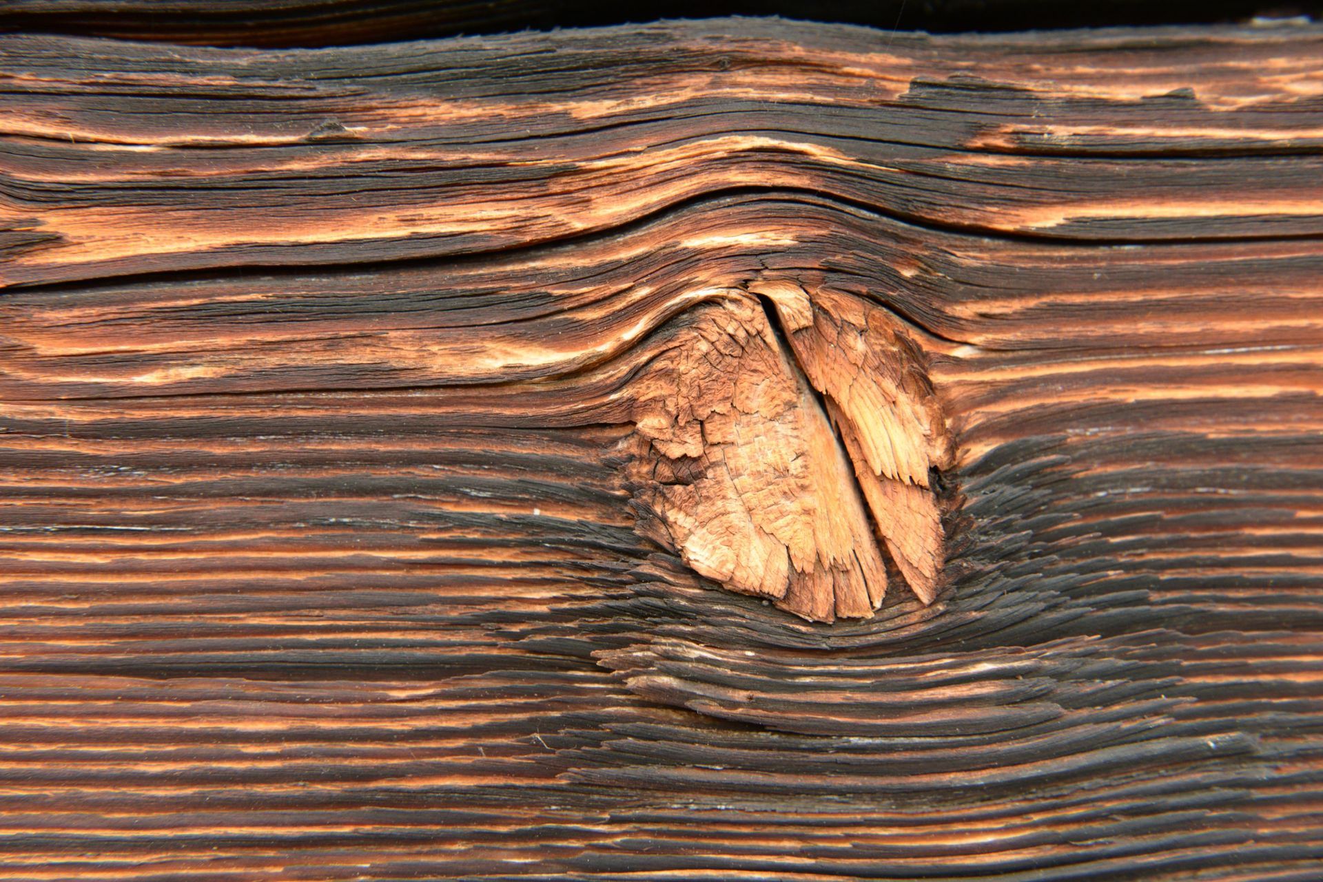 festzelte / transport / entsorgung - kilian + luzia wyssen - matten (st. stephan)