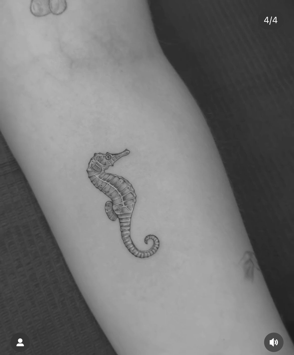 Tatuaje en blanco y negro de un caballito de mar en el brazo de una persona.