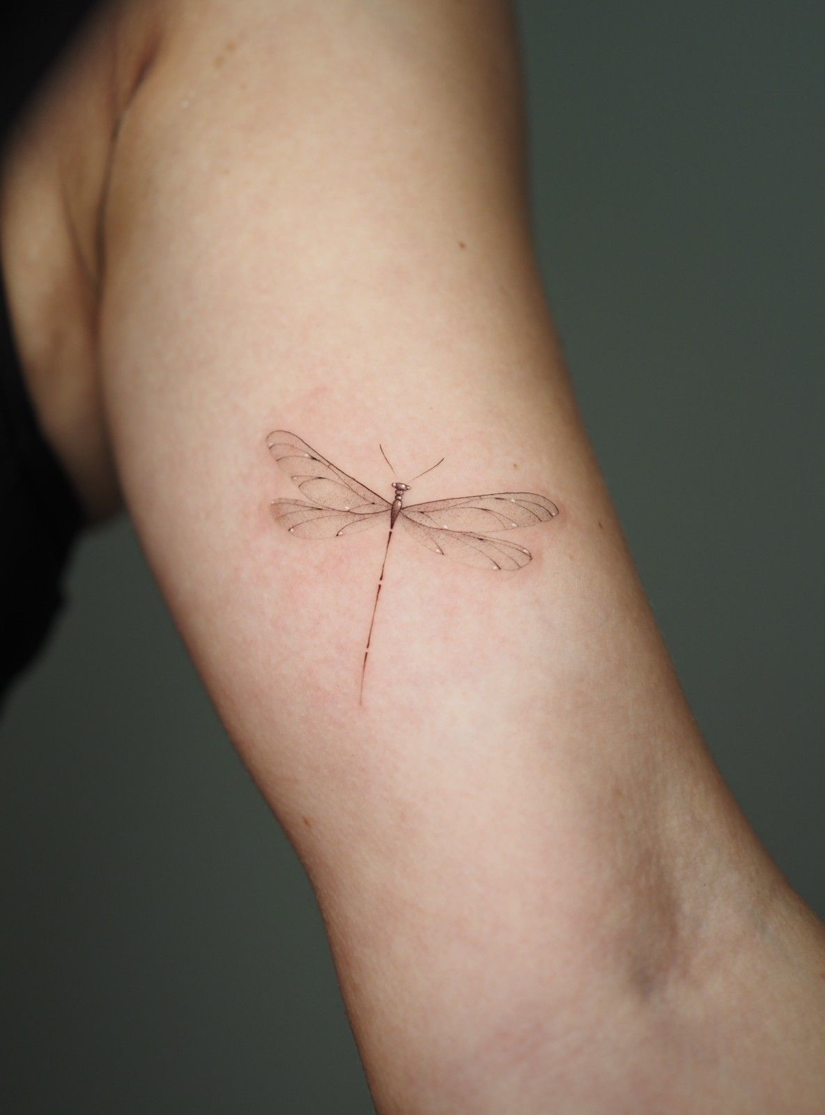 Tatuaje de una delicada libélula en el brazo interior de una persona, con líneas finas y puntillismo.
