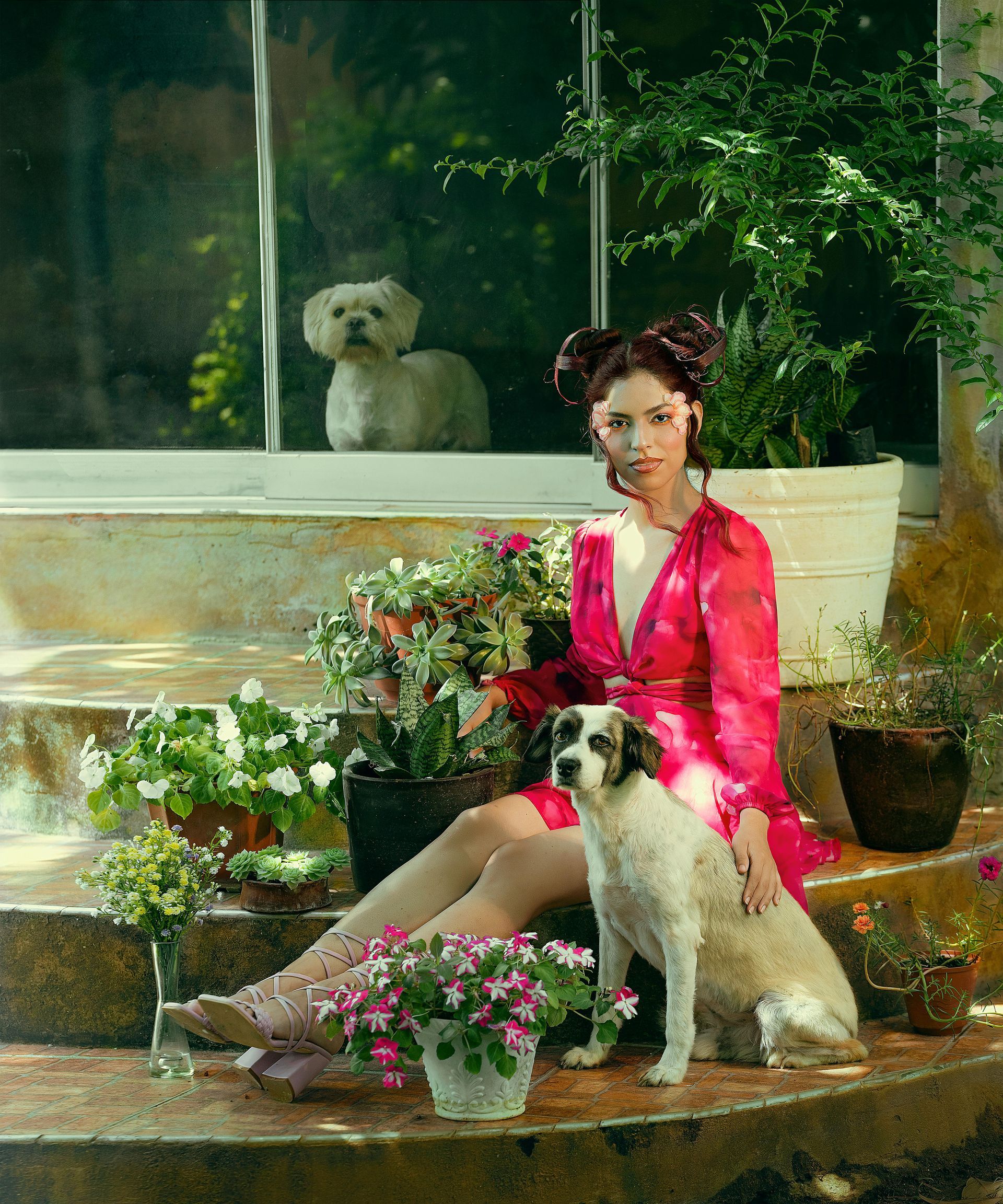 Una mujer vestida de rosa se sienta en unos escalones con dos perros rodeados de plantas.