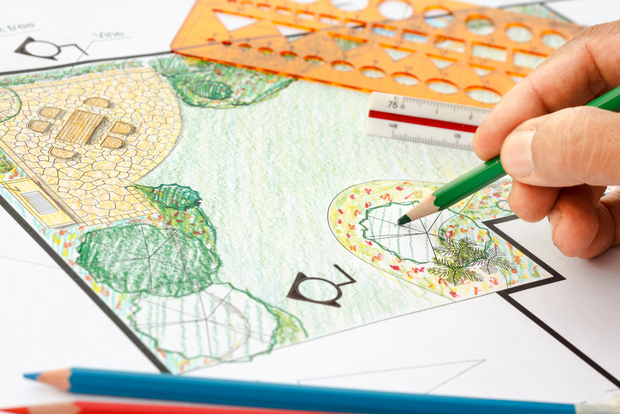 Una persona sta disegnando un giardino con una matita verde