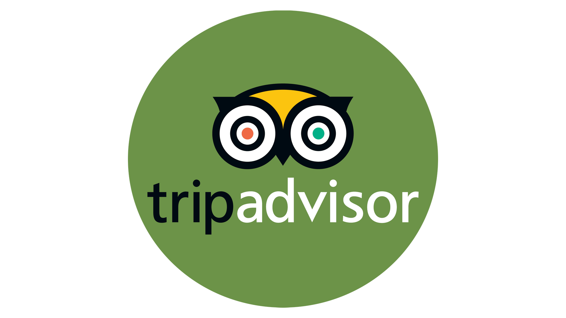 Logo TripAdvisor