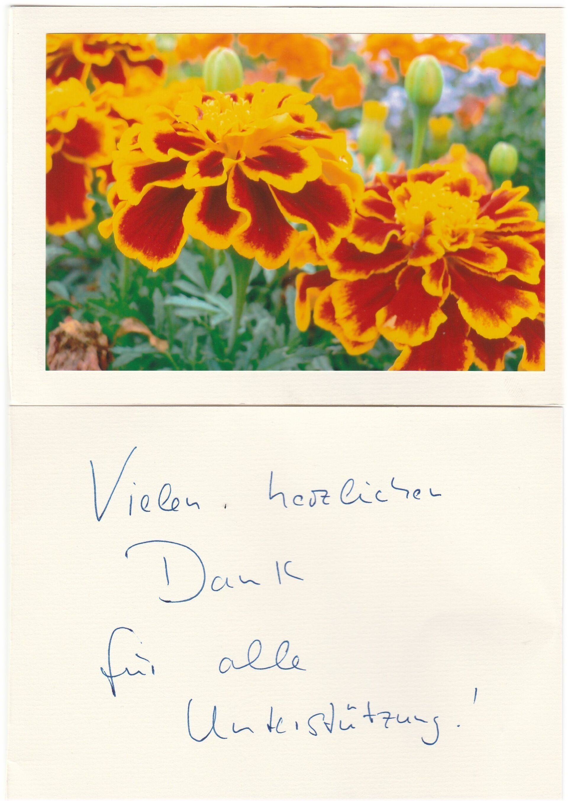 Ringelblumen mit einer handgeschriebenen Dankeskarte auf Deutsch.
