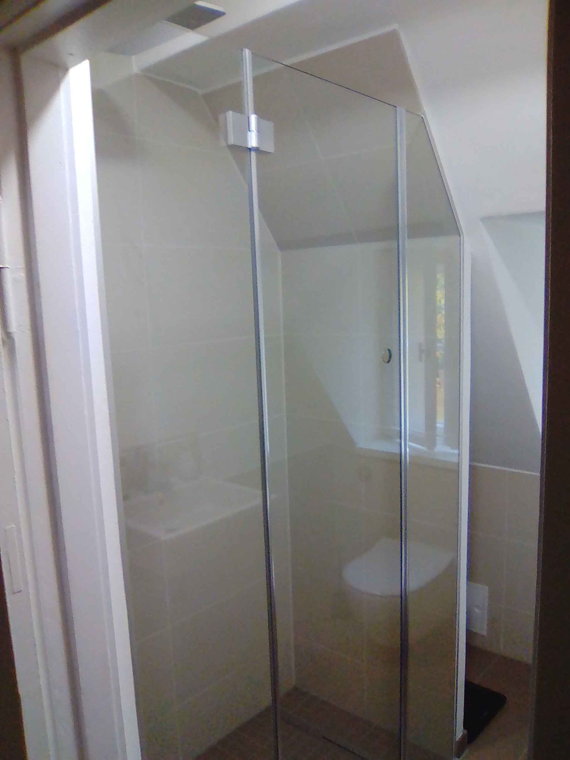 Ganzglasdusche mit Toilette