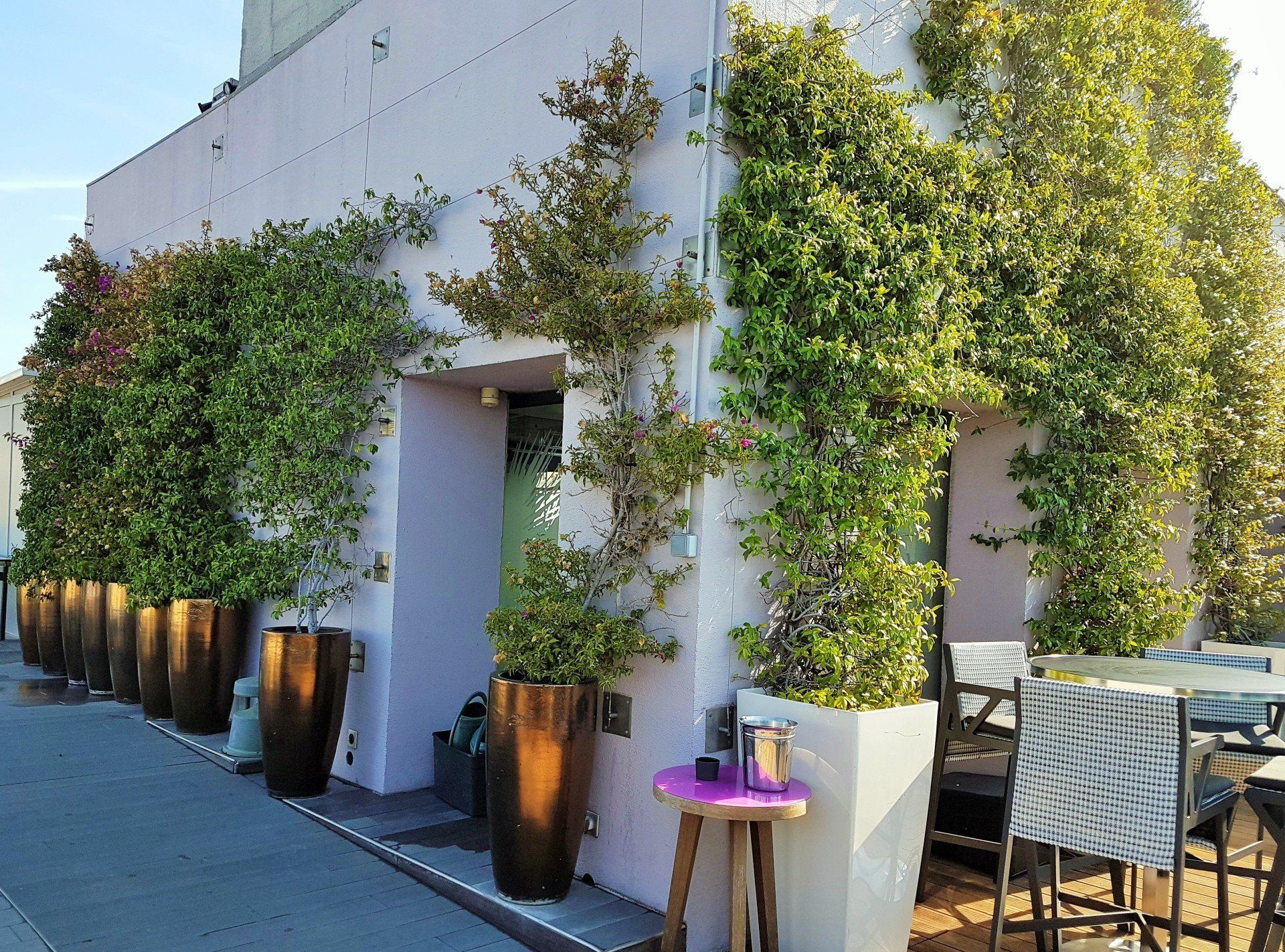 Location de végétaux pour entreprises