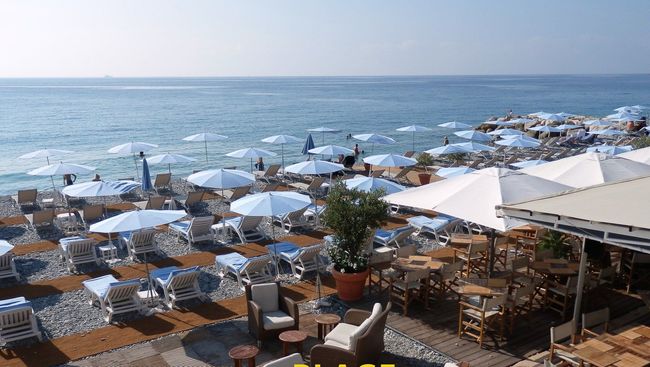 Végétalisation d'un bar de plage