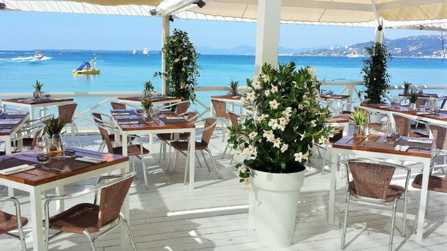 Location de plantes fleuries