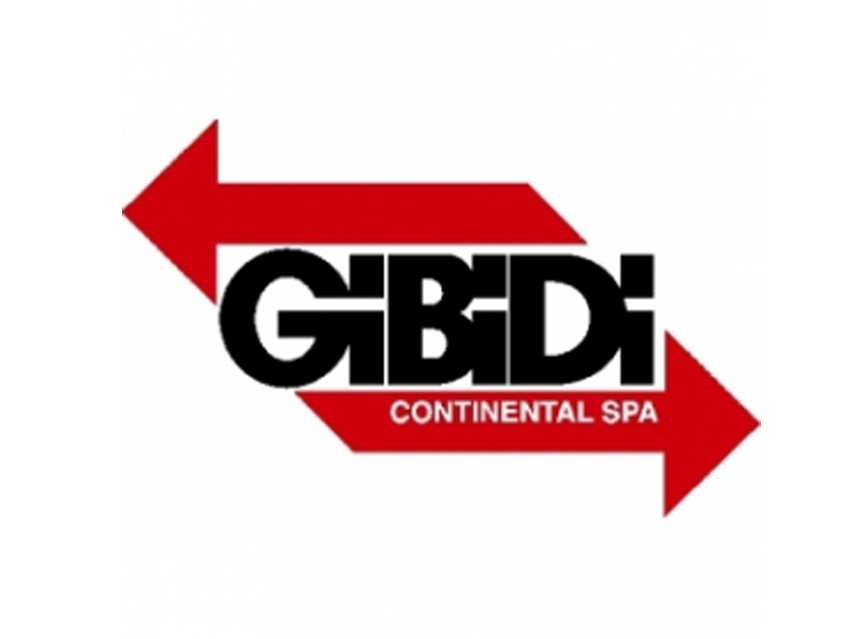 Logo GIBIDI