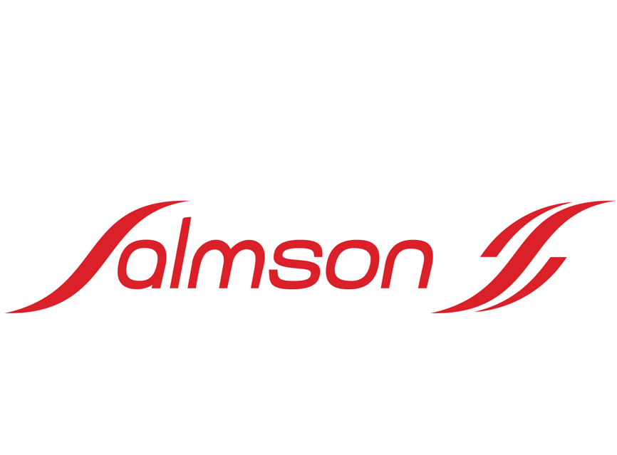 Logo pompes SALMSON