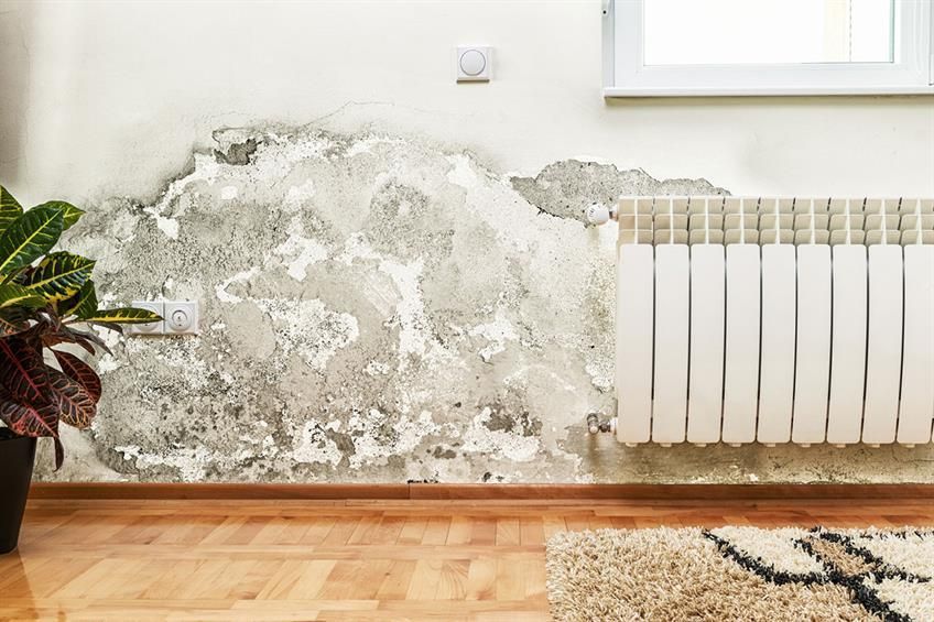 Ein Wohnzimmer mit einem Heizkörper und einer Wand mit Schimmel.