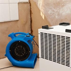 In einem Raum steht ein blauer Ventilator neben einem weißen Ventilator.