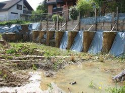 Holzart Architektur AG Neubau DEFH Therwil I Wohnen 