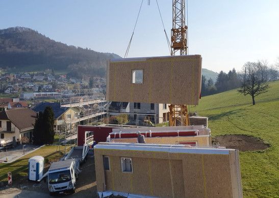 Holzart Architektur AG Neubau EFH Nunningen | Wohnen