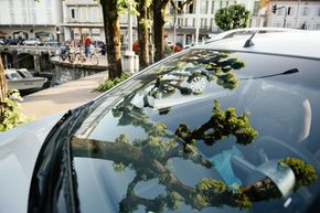 Les branches et les feuilles d'un arbre se reflètent sur le pare-brise d'une voiture stationnée, avec une rue de ville visible en arrière-plan.