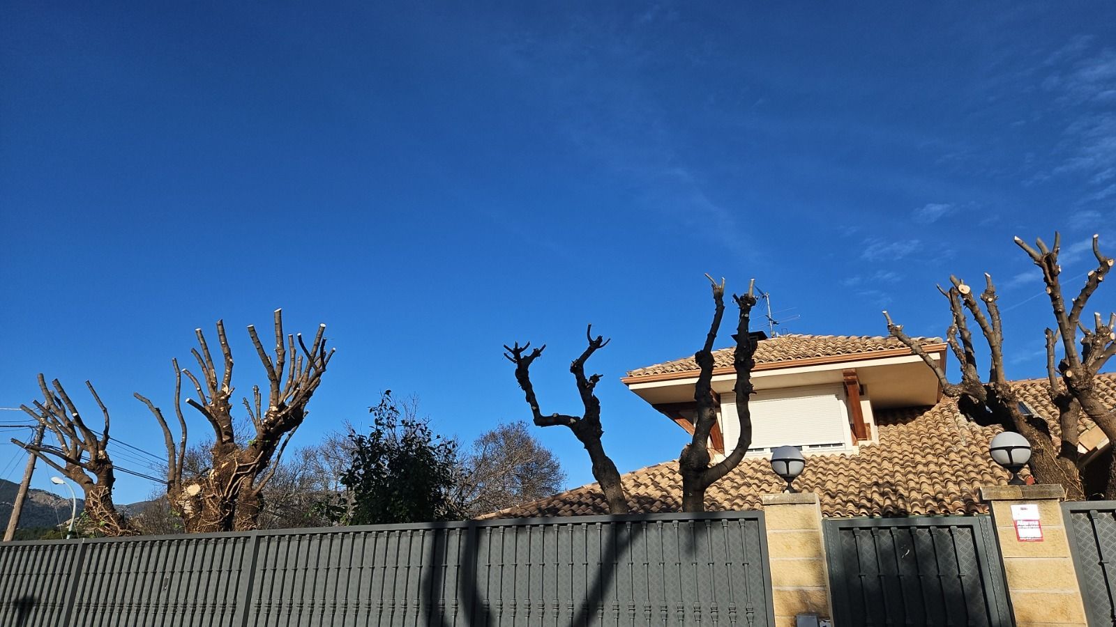 Una casa con una valla y árboles delante de ella.