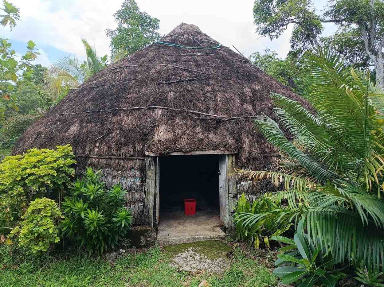 Cabaña con techo de paja y puerta abierta, rodeada de exuberante vegetación y árboles.