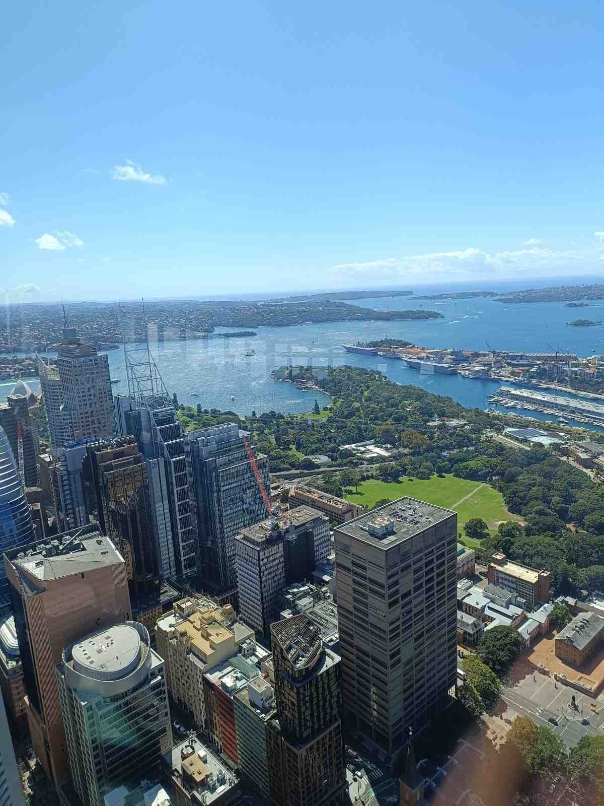 Vista aérea del perfil urbano de una ciudad costera, el puerto y un parque verde bajo un cielo azul despejado.