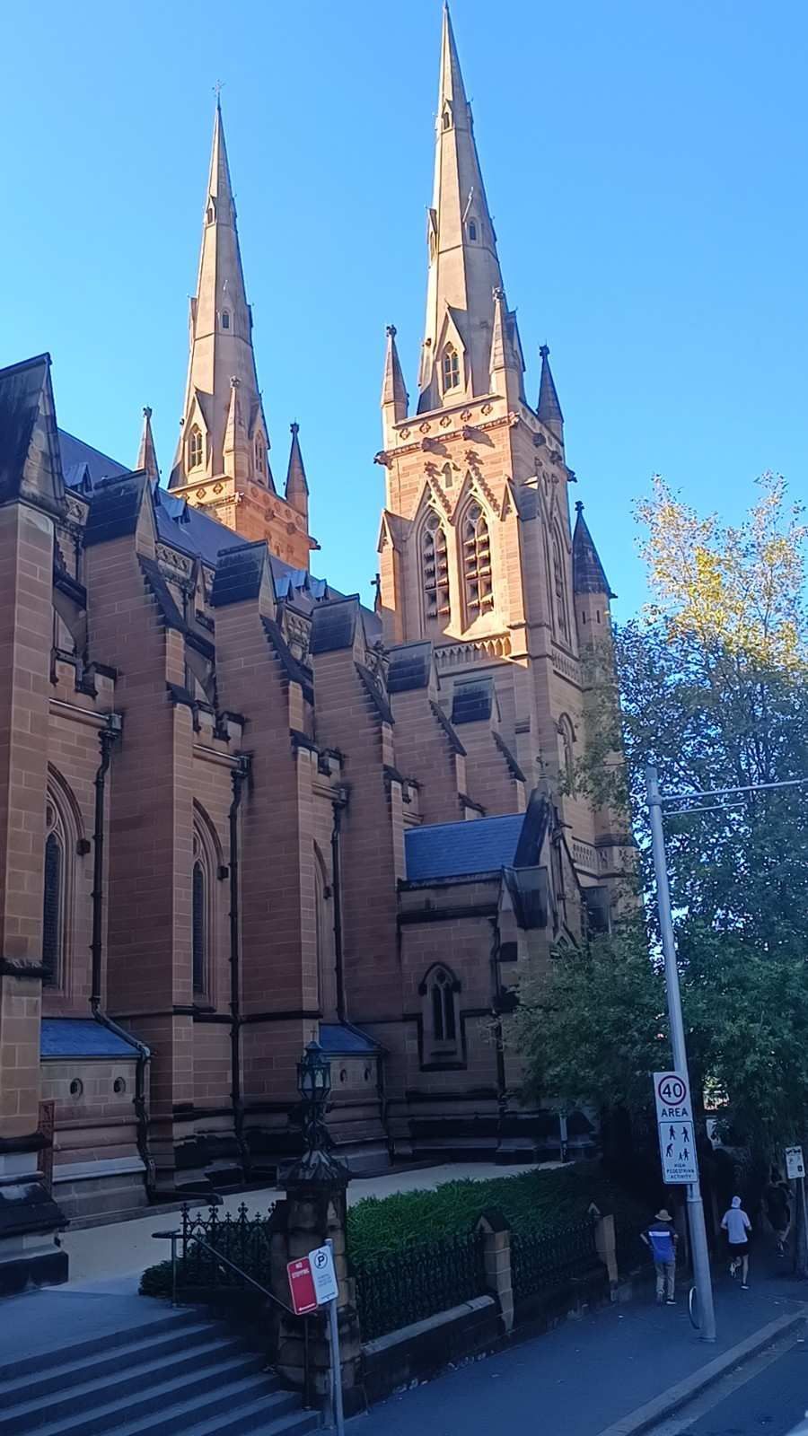 Catedral gótica con dos torres gemelas junto a una calle arbolada en un día soleado.