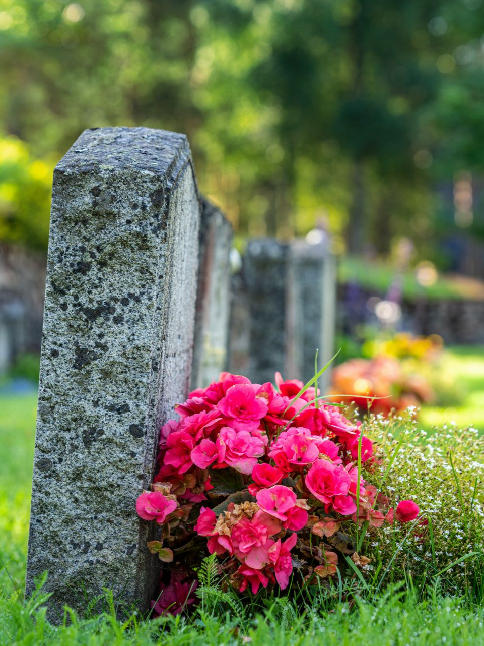 Pierre tombale ornée de fleurs roses éclatantes dans un cimetière verdoyant.