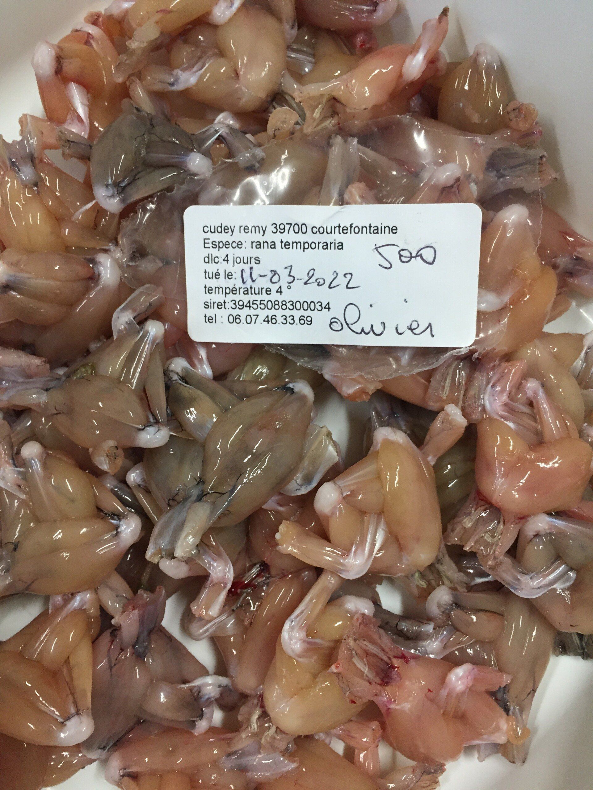 Achat de grenouilles