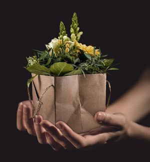 Offrez des fleurs à vos proches avec Ostréa Flor
