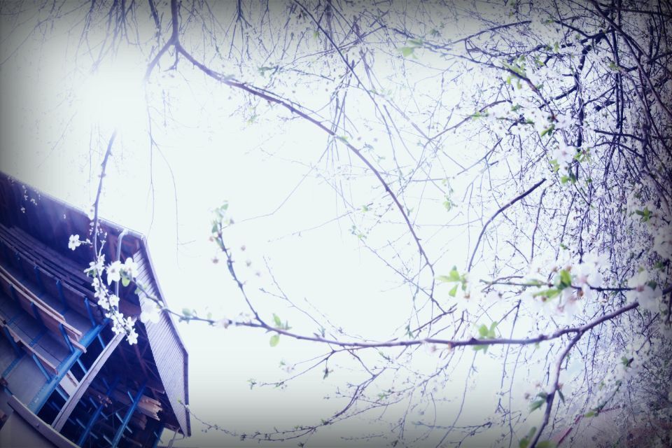 Hausrohbau mit Holzdachstuhl