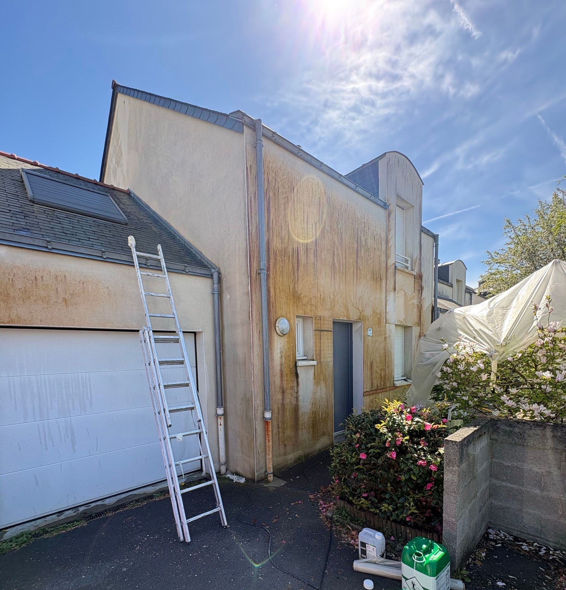 Extérieur ensoleillé d'une maison avec une échelle appuyée contre une porte de garage et des plantes au premier plan