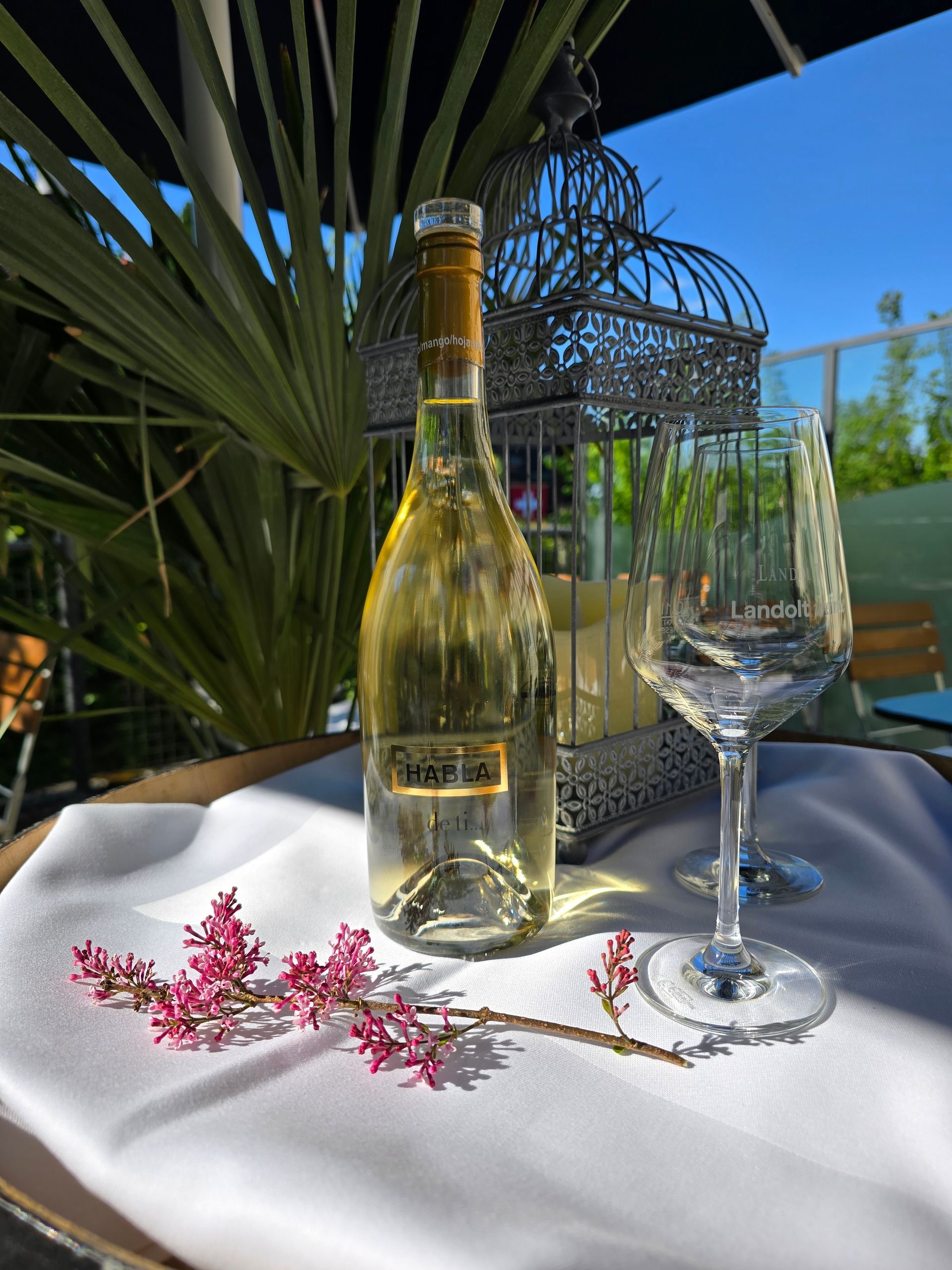 Eine Flasche Weißwein, ein Weinglas und ein Blumenzweig auf einer weißen Tischdecke neben einem Vogelkäfig. Sonnige Umgebung im Freien.