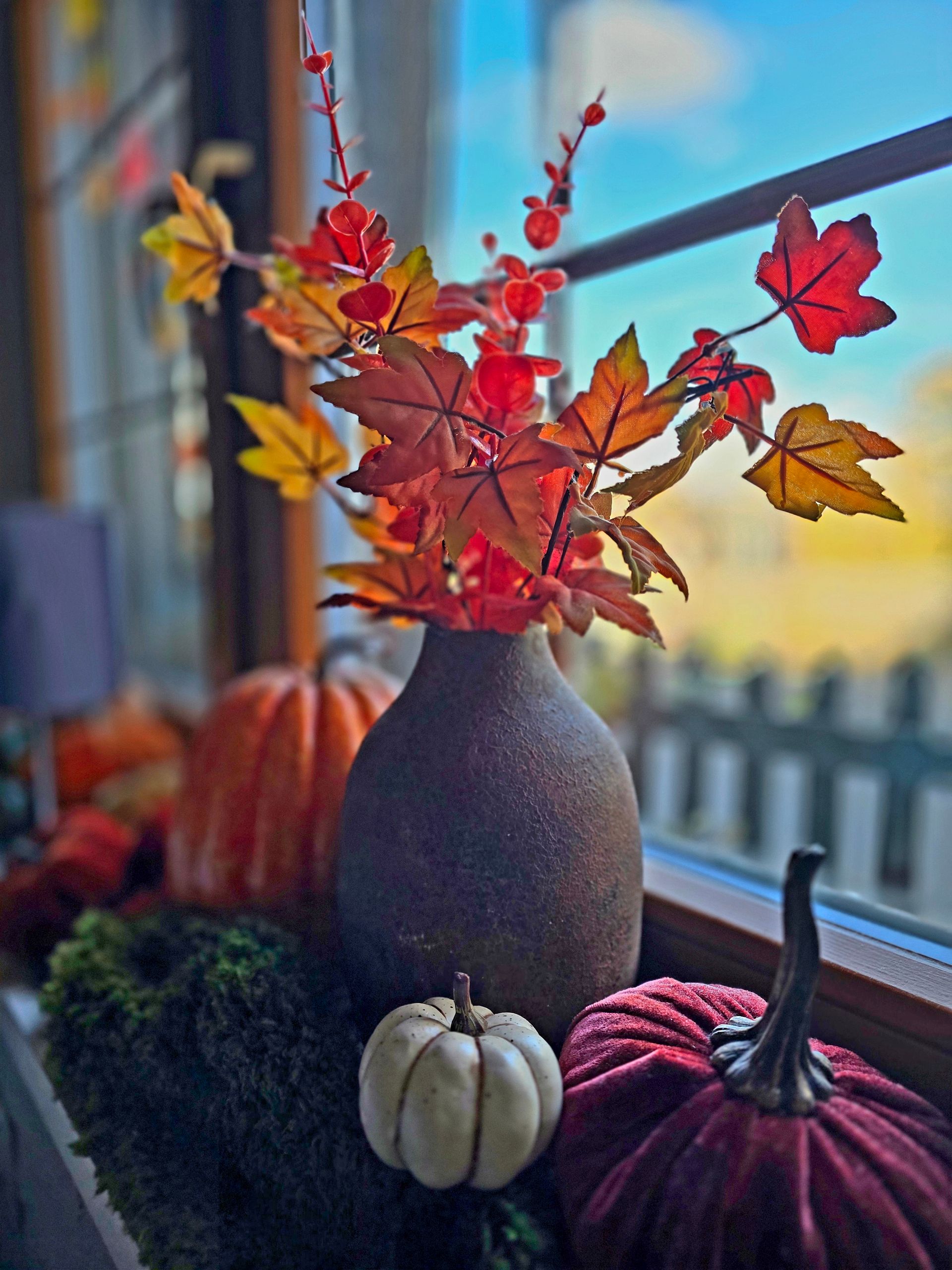 Esszimmer aus Holz mit gedecktem Tisch, Geweih an der Wand und einem Fenster.