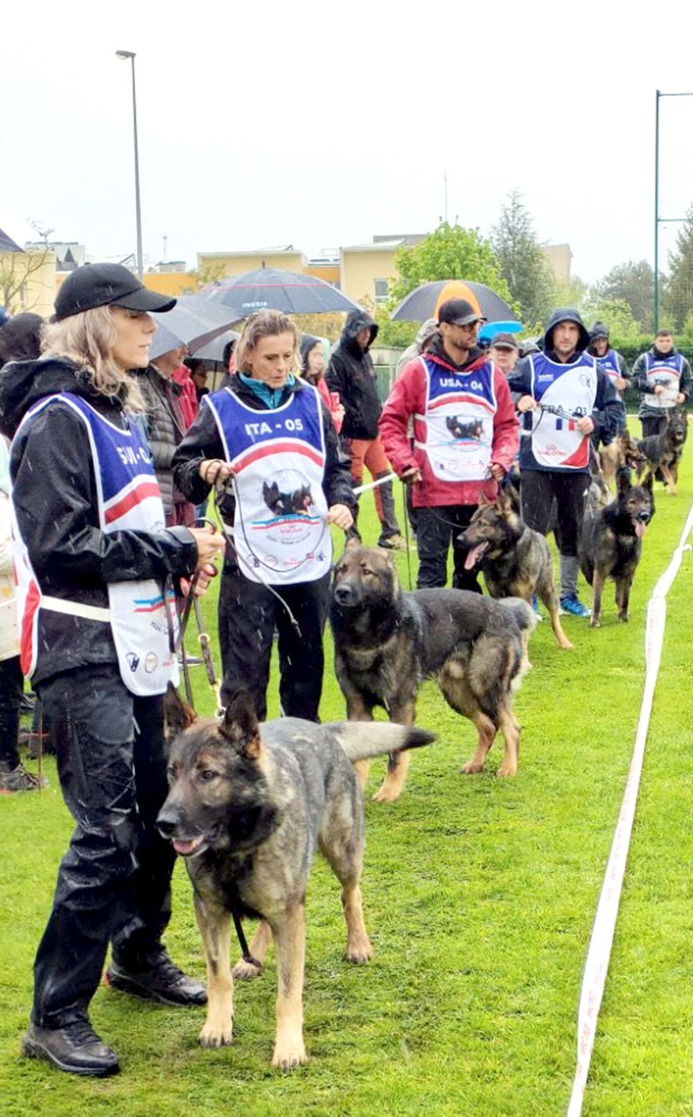 Dossard Royal Canin