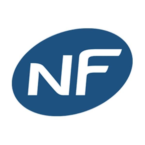 Logo NF