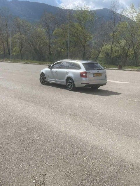 Ασημένιο station wagon παρκαρισμένο σε ηλιόλουστο δρόμο με βουνά και δέντρα στο φόντο