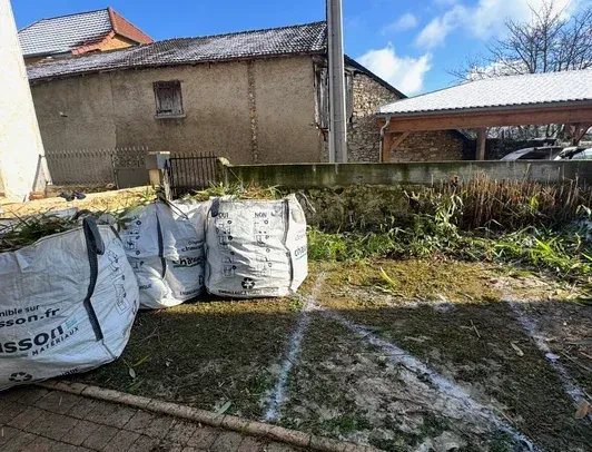 Cour arrière avec de grands sacs blancs, une pelouse clairsemée et des bâtiments en briques.