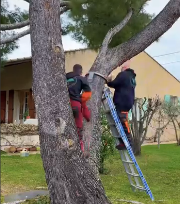 Une personne vêtue de rouge entretient un sentier herbeux à flanc de colline, près d'un panneau de signalisation.