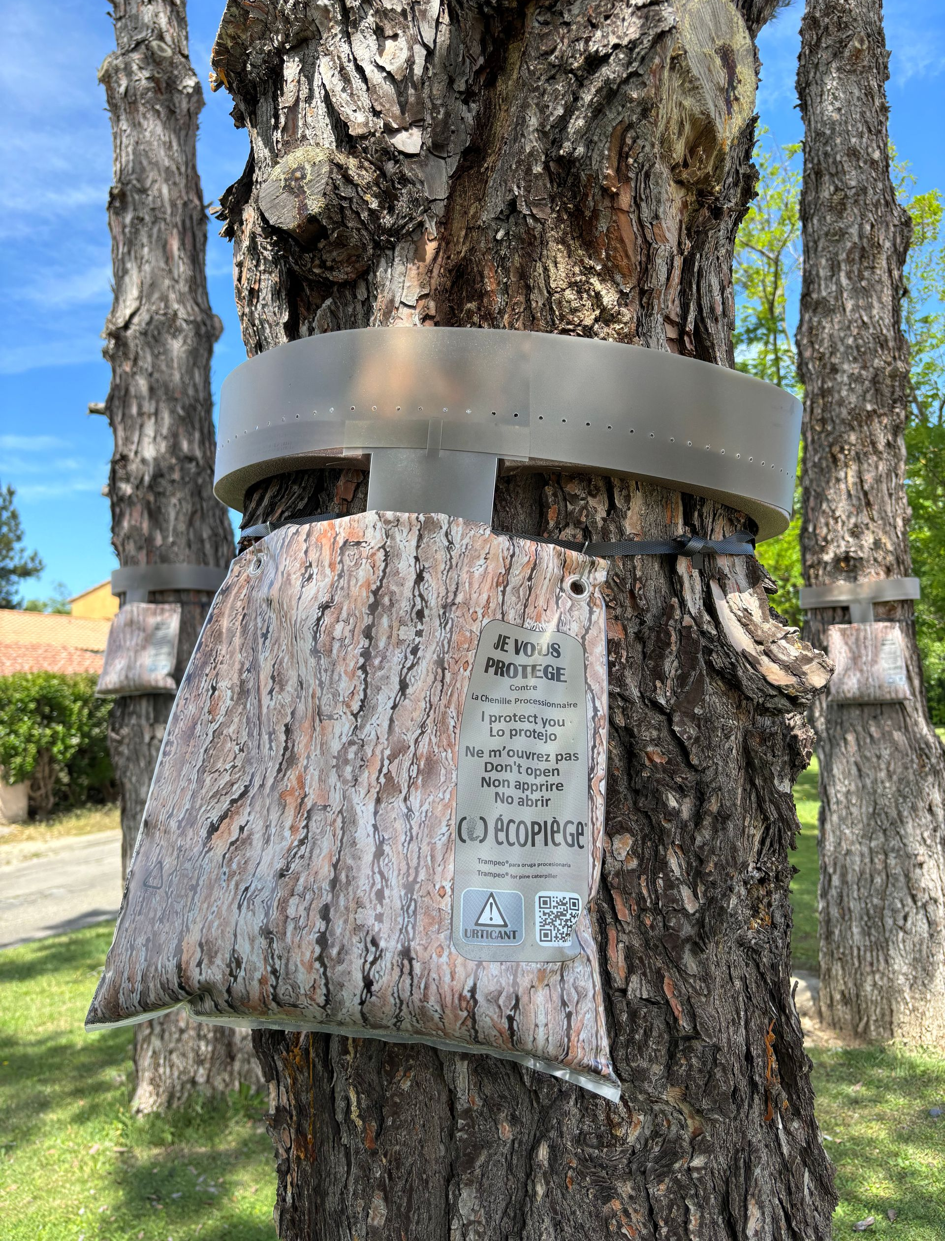 Tronc d'arbre avec un écopiège et un cerclage métallique dans un parc extérieur.