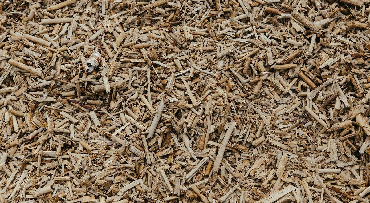 Gros plan sur un tas de copeaux et de sciure de bois dans les tons beige et brun.