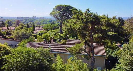 Maisons de banlieue baignées de soleil au milieu d'une végétation luxuriante, avec un grand pin dominant le premier plan.