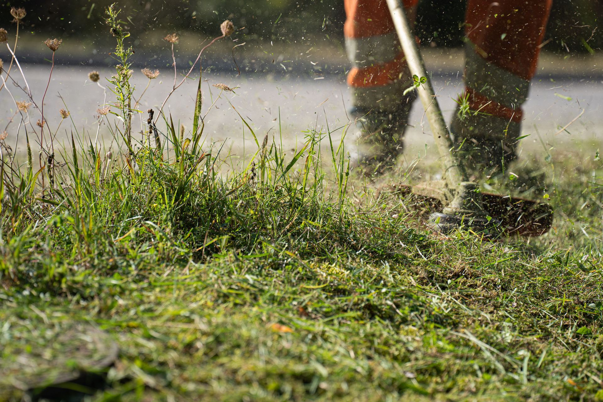 Une personne tond de l'herbe mouillée avec un coupe-bordures.